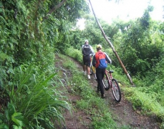  Mountain bike 